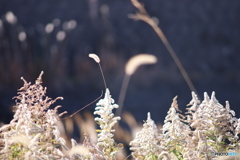 ニコン New Nikkor 200mm F4