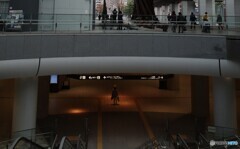 You are not alone ...