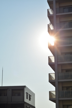 朝陽