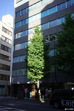 とうきょう漫步