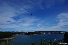 happy fly