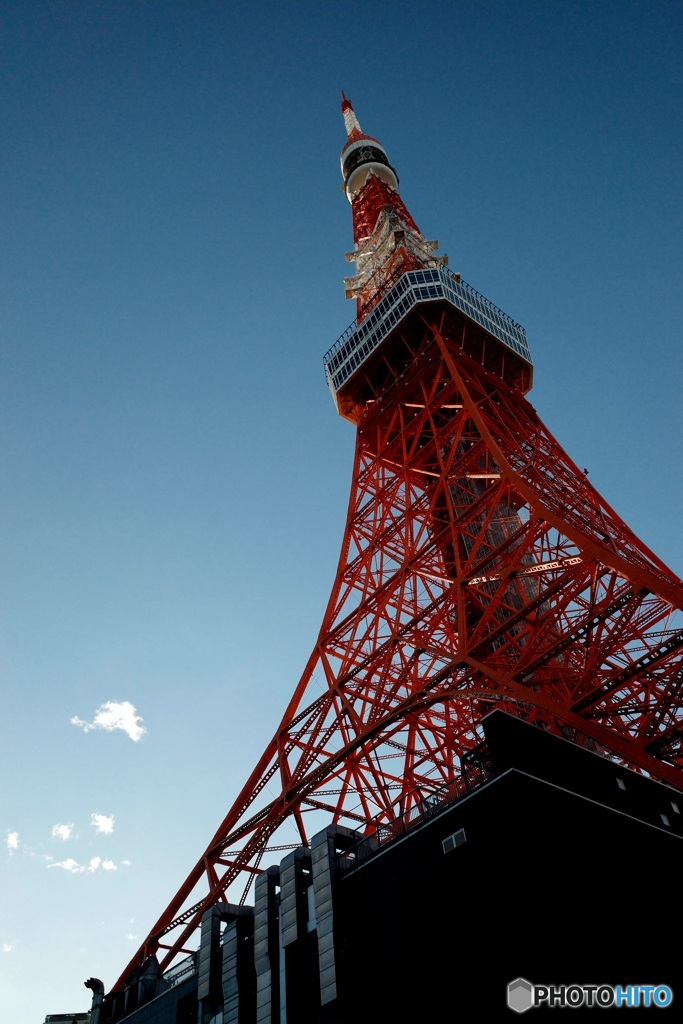歲末 Tokyo Tower