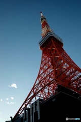 歲末 Tokyo Tower