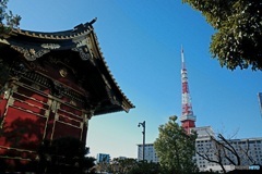 歲末 Tokyo Tower