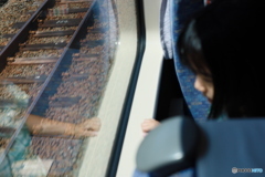 n/a