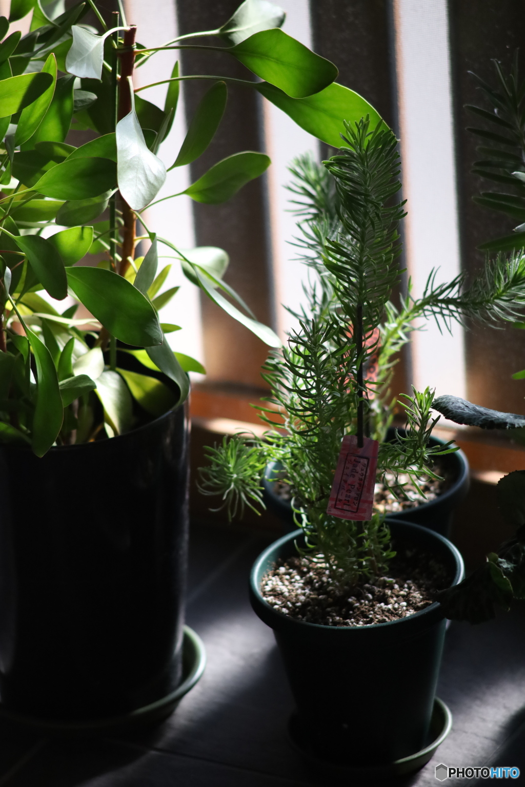 ニコン New Nikkor 200mm F4