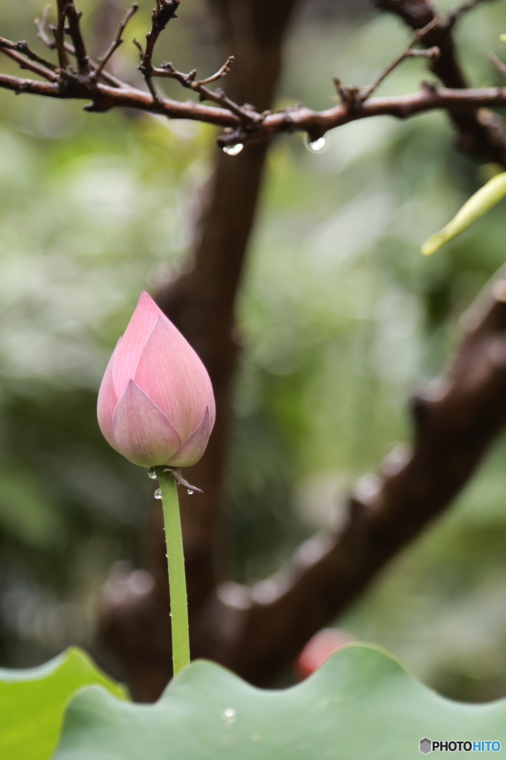 雨后