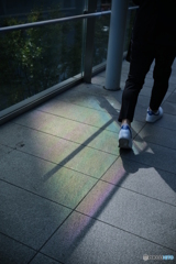 DSCF4272