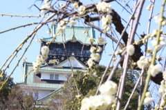 大阪城梅林庭園公園から大阪城