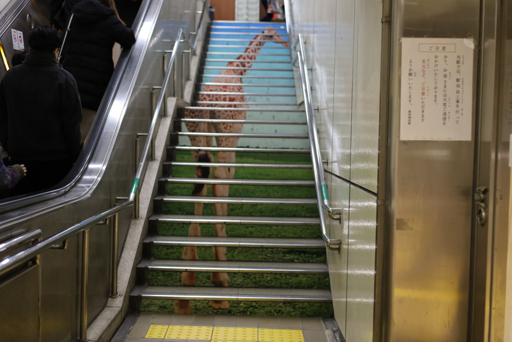 階段キリン