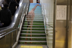 階段キリン