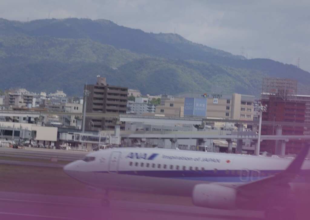 大阪空港伊丹空港ツツジの季節