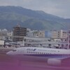 大阪空港伊丹空港ツツジの季節