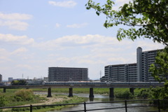 大和川浅香山緑道よりくろしお