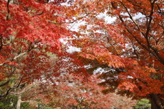 大仙公園日本庭園にて