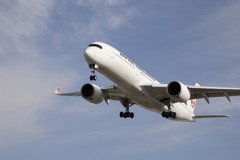 大阪国際空港伊丹空港にて