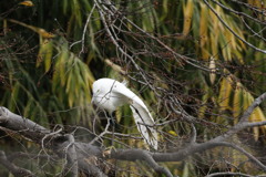 大阪天王寺茶臼山にて