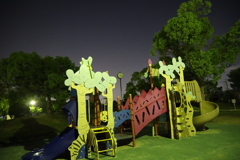 夜の公園の遊具