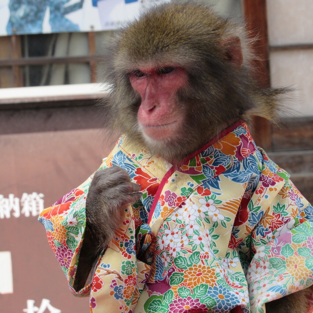 大道芸人と猿の猿回し