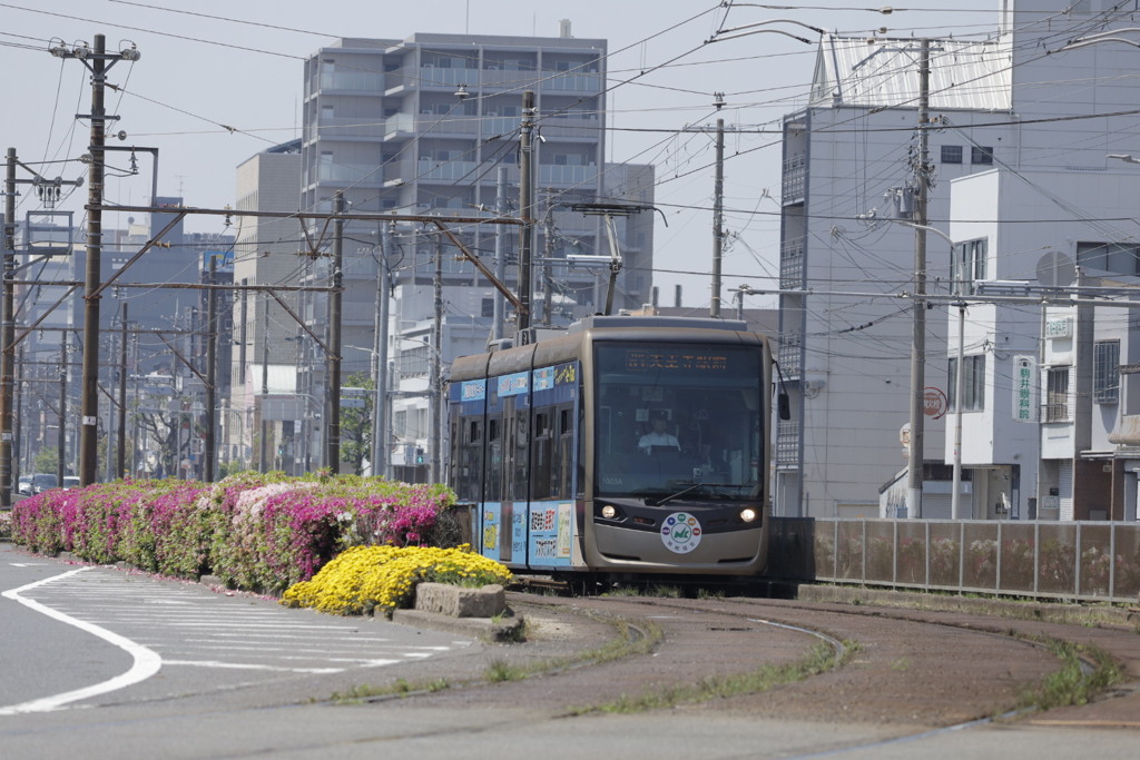 阪堺電車