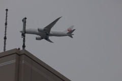 飛行機全日空JAL