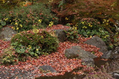 大仙公園日本庭園にて