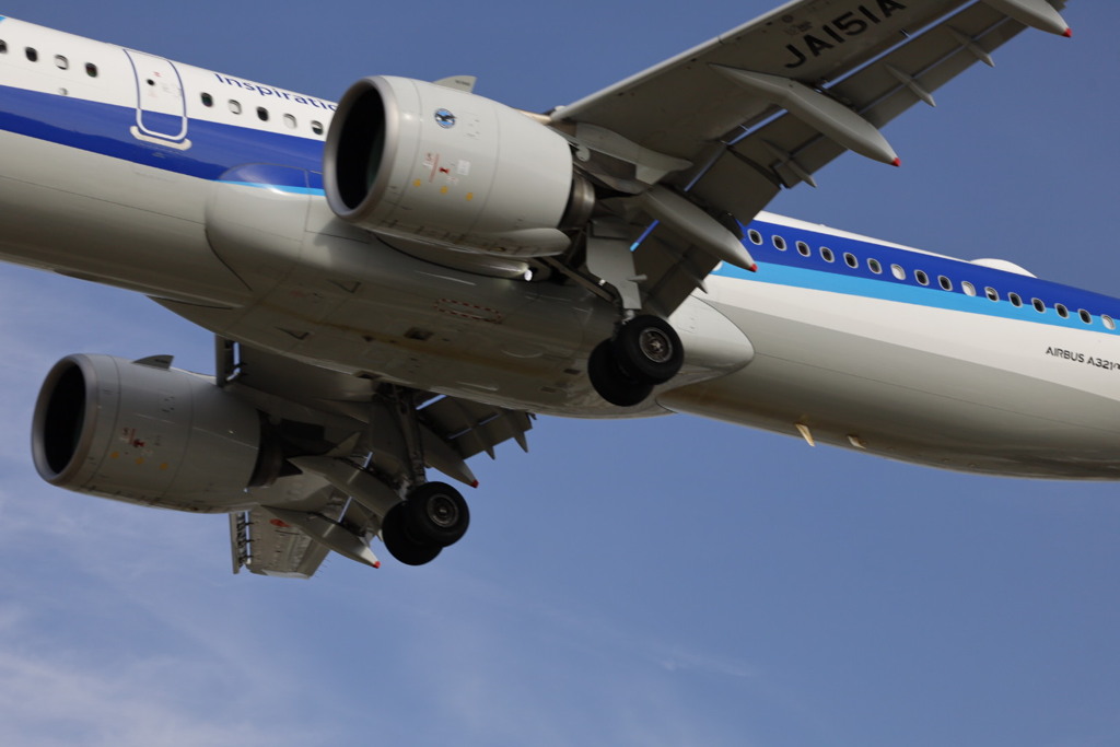 大阪国際空港伊丹空港にて