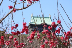 大阪城梅林庭園公園から大阪城