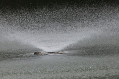 大阪天王寺茶臼山池の噴水