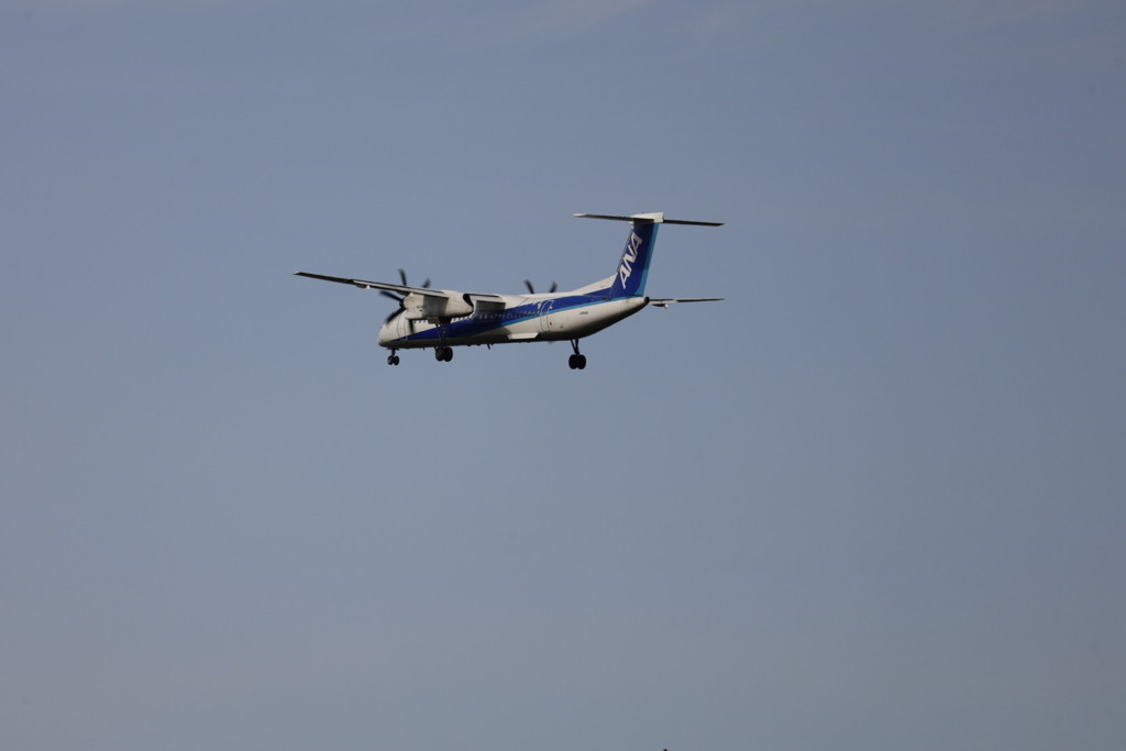 大阪国際空港伊丹空港にて