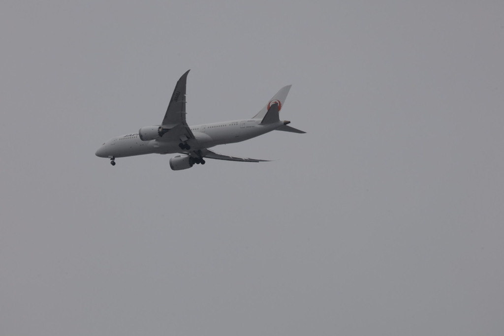 飛行機全日空JAL