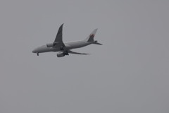 飛行機全日空JAL