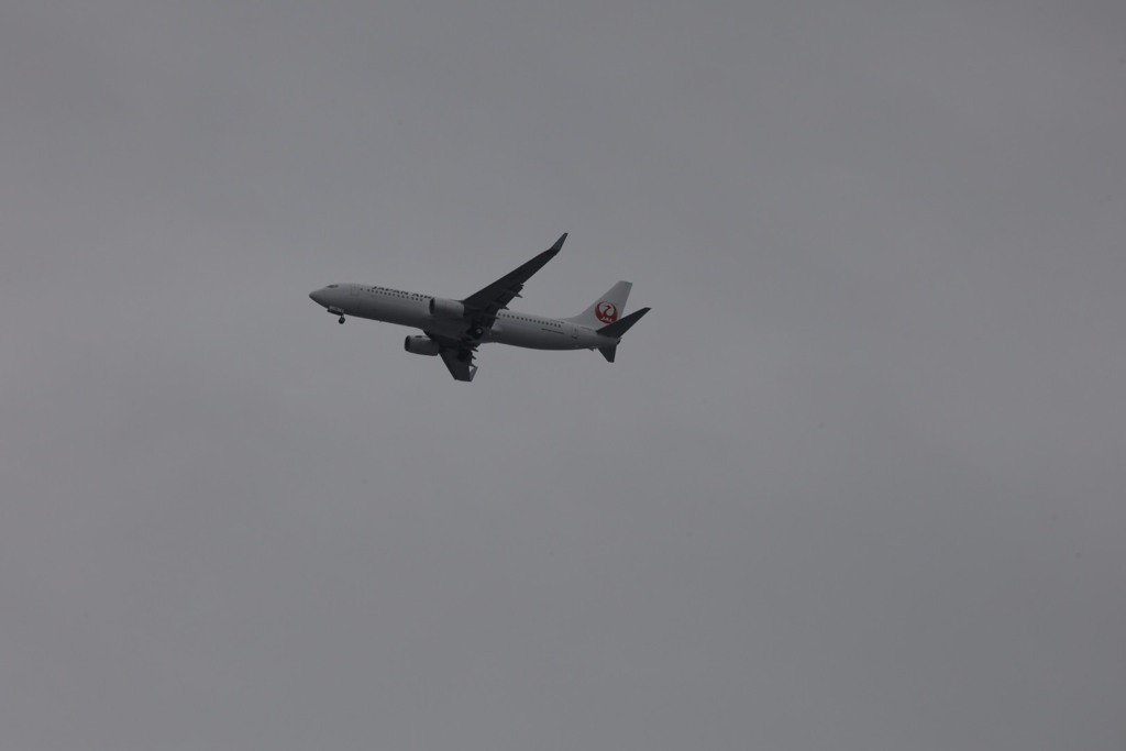 飛行機全日空JAL