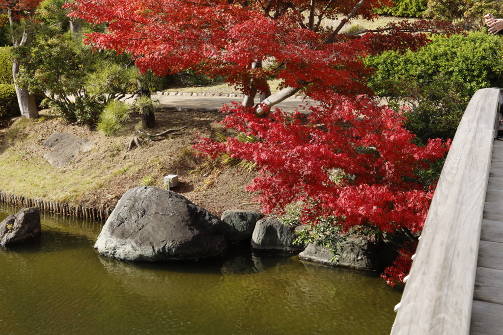 大仙公園日本庭園にて