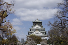 大阪城天守閣桜