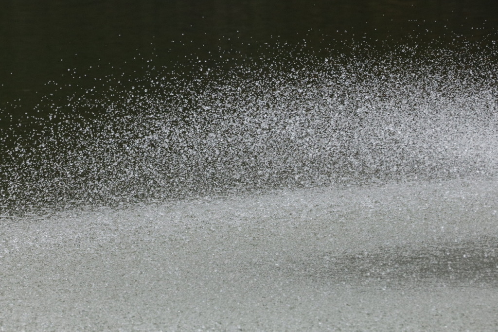 大阪天王寺茶臼山池噴水にて