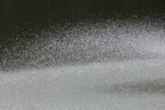 大阪天王寺茶臼山池噴水にて