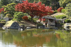 大仙公園日本庭園にて