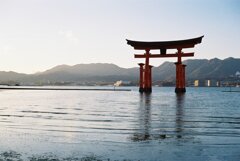 厳島
