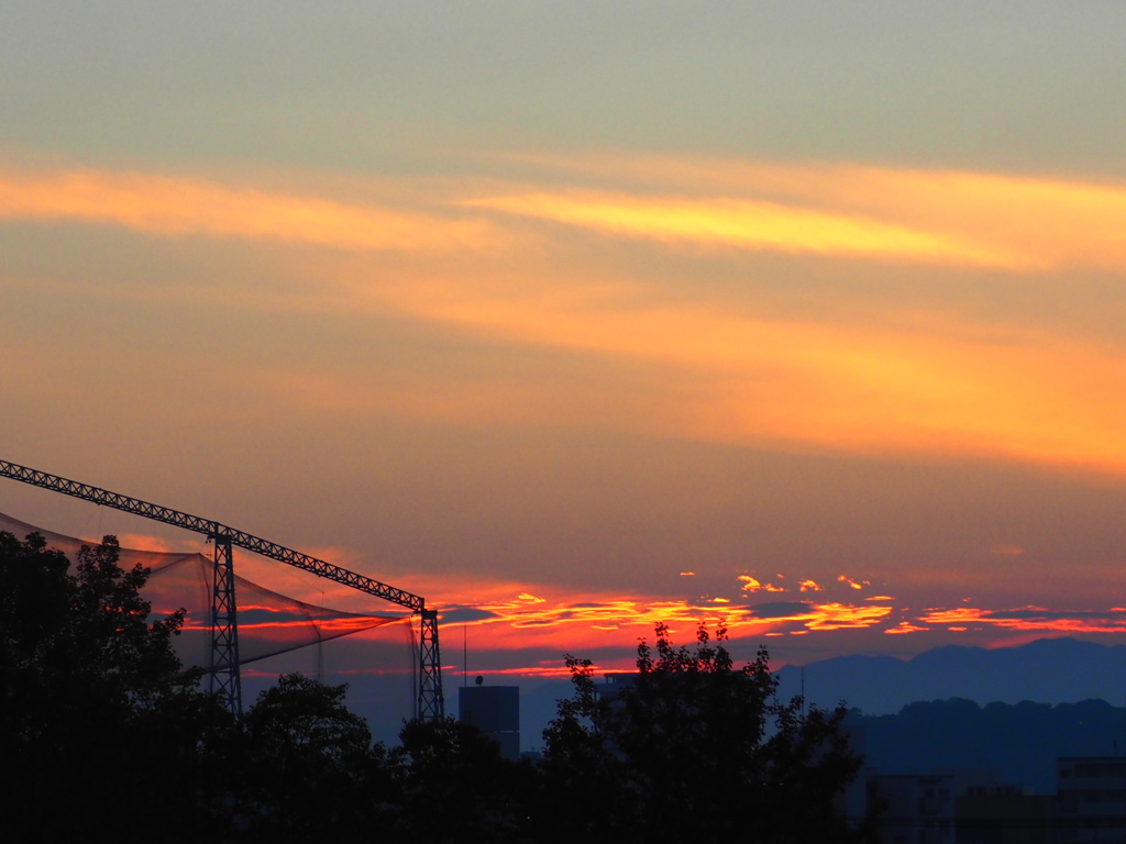 『オレンジ色』