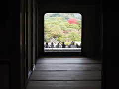 『日本一の庭園、足立美術館』