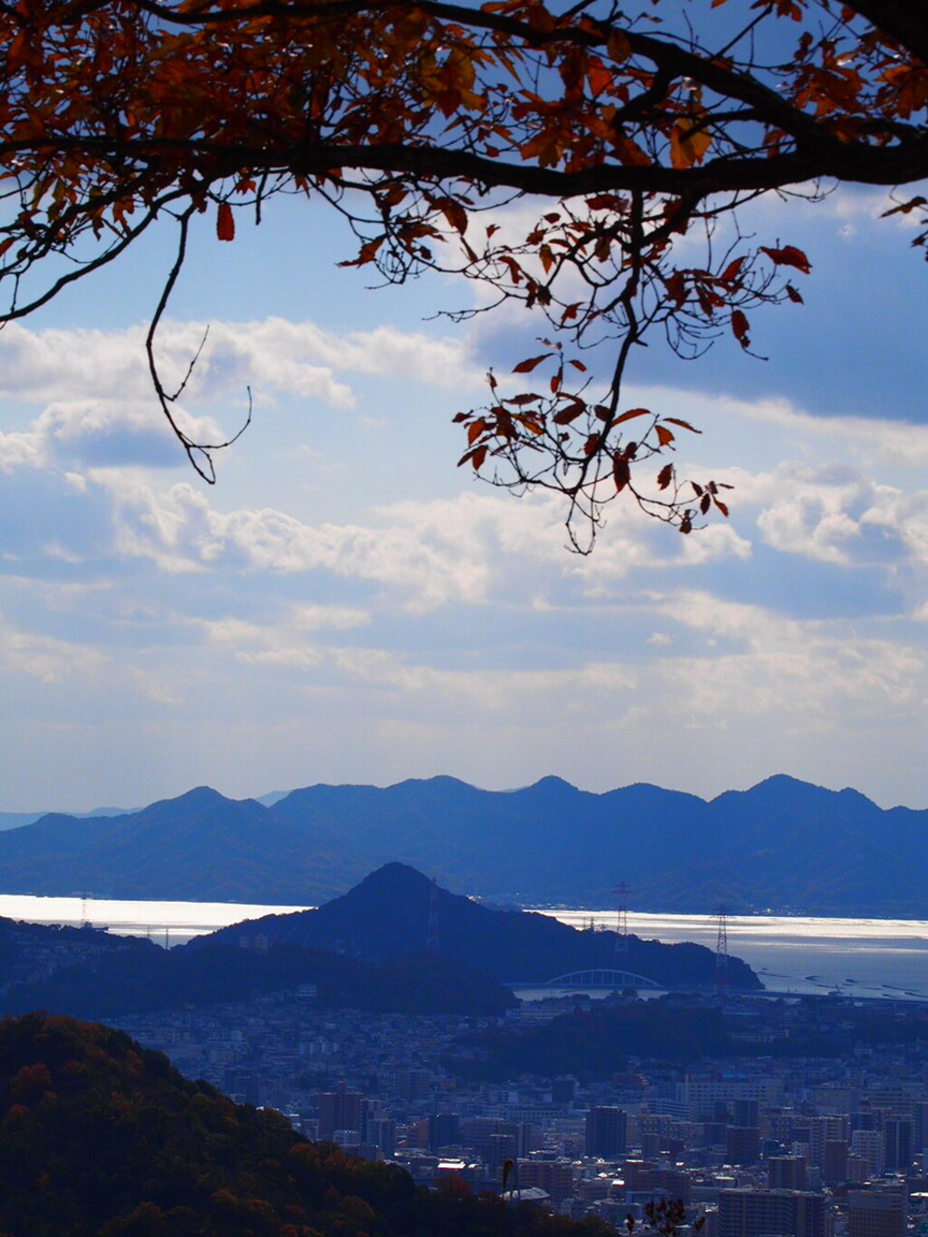 『瀬戸内の島』
