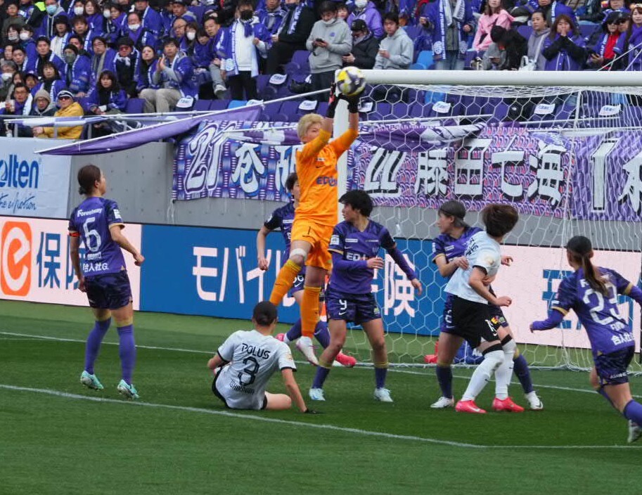 『キャッチ・レジーナ』