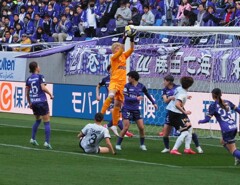 『キャッチ・レジーナ』