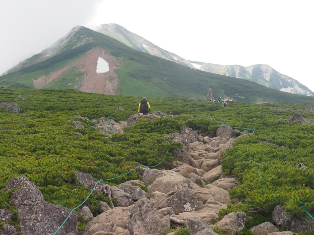 『夏山、白馬の雄姿』