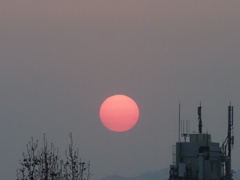 『夕日くっきり』