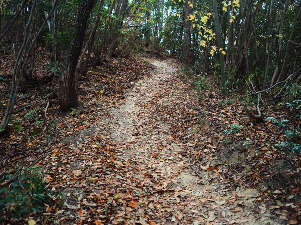 『晩秋の縦走路』