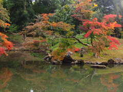 『岡山後楽園』