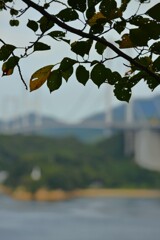 海峡を秋風渡る　➁。。。！