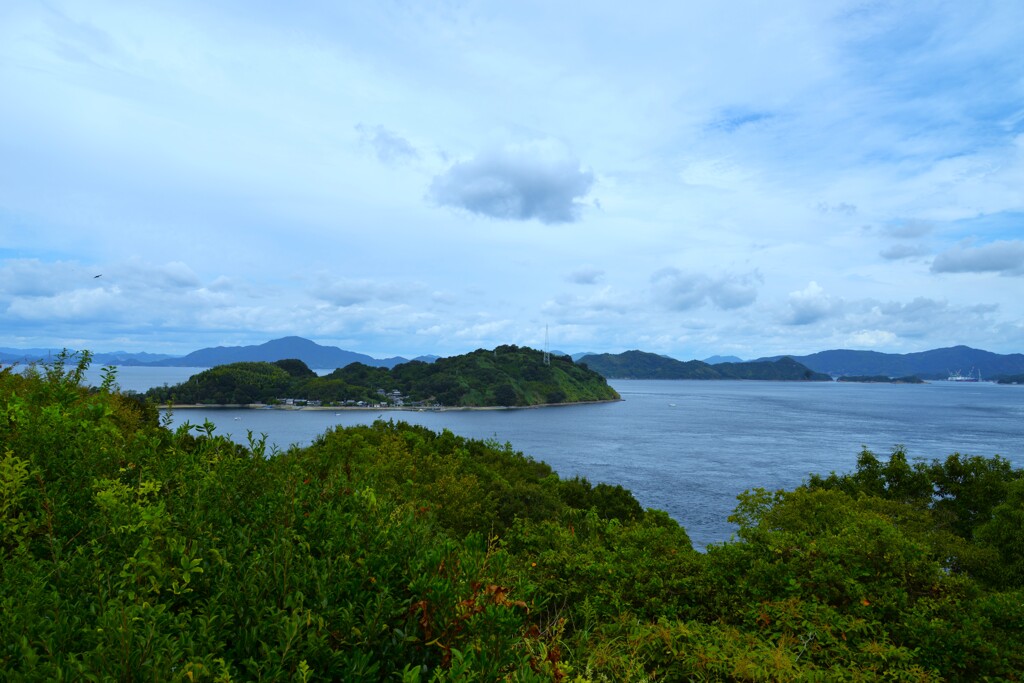 水軍島にも秋来る。。。！